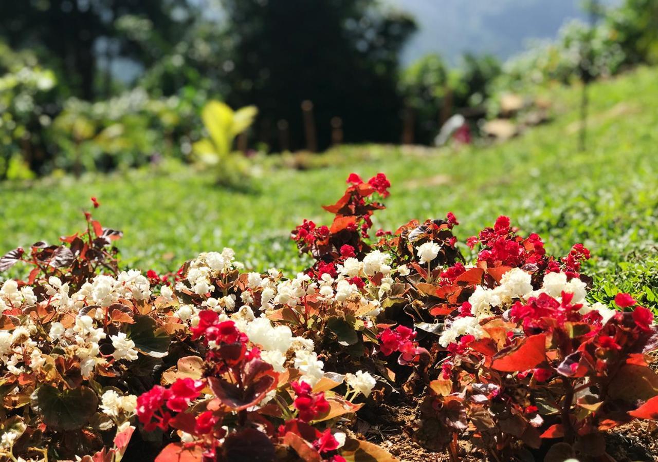 Dolape Villa إيلا المظهر الخارجي الصورة